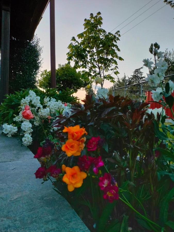 Adam'S Holiday House 2019 Kariani Exterior photo